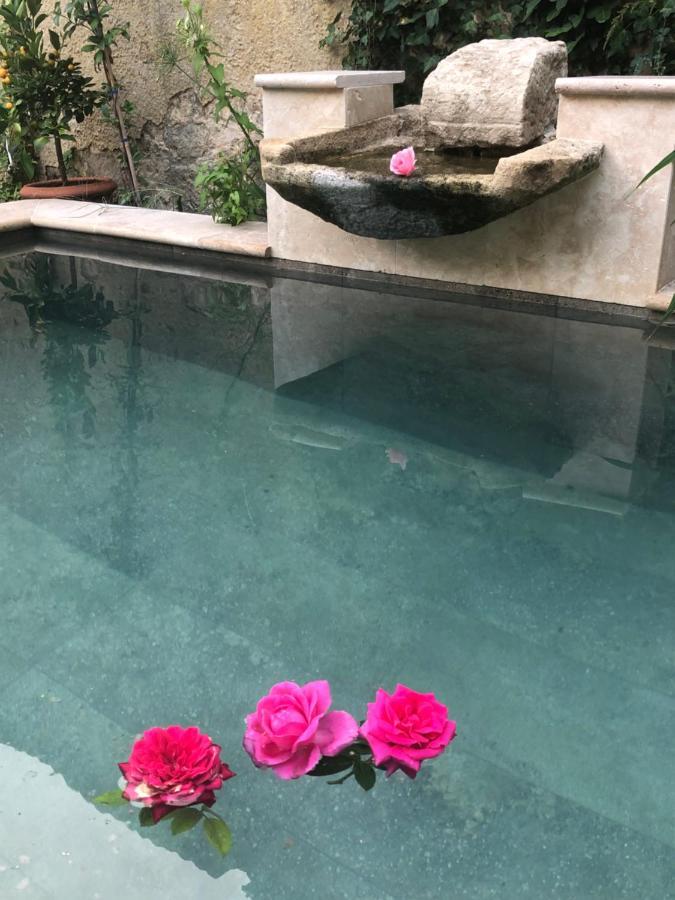 Le Clos De La Cathedrale Bazas Esterno foto