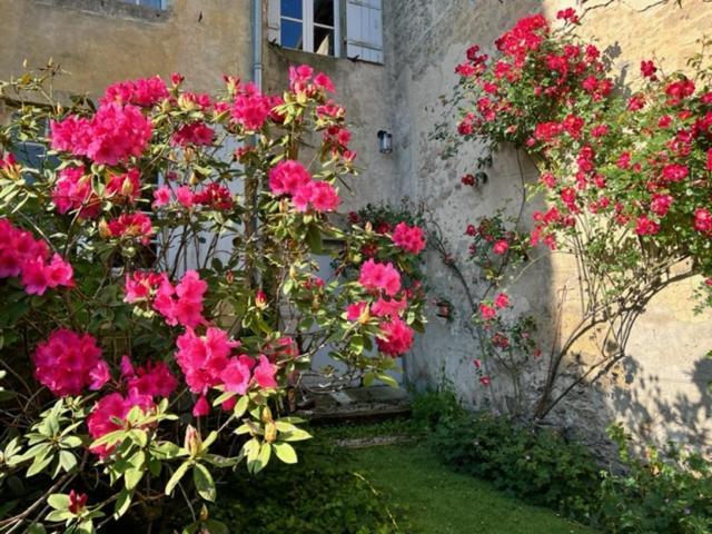 Le Clos De La Cathedrale Bazas Esterno foto