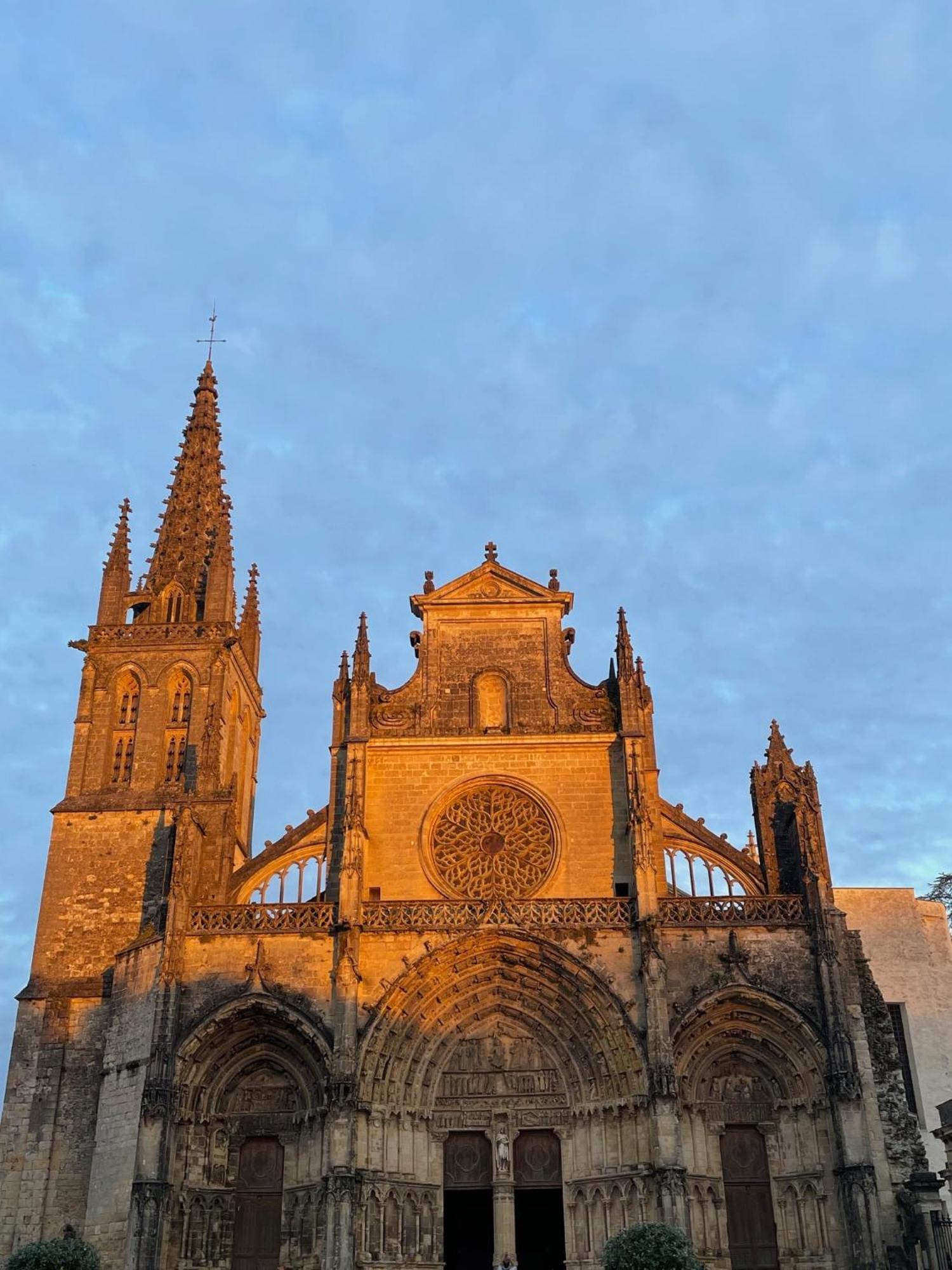 Le Clos De La Cathedrale Bazas Esterno foto